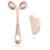 Yeamon Gua Sha Facial Tools and Face Roller Set, Facial Massage Tool for Women’s Skincare Routine,Cooling Stainless Steel Face Sculpting Eyes Roller Guasha for Daily Use or Self-Care Gift for Women